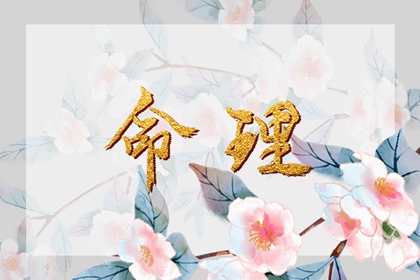 今日万年历查询 万年历农历查询表2026年 今日万年历老黄历查询